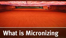 What is Micronizing
